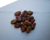 Fava beans